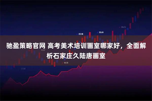 驰盈策略官网 高考美术培训画室哪家好，全面解析石家庄久陆唐画室