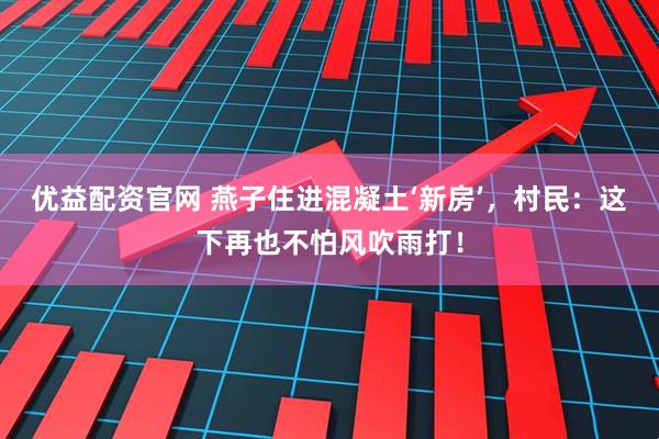优益配资官网 燕子住进混凝土‘新房’，村民：这下再也不怕风吹雨打！